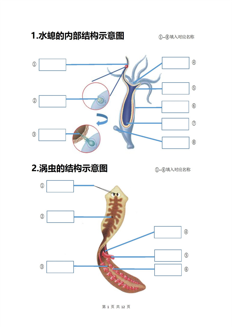 八上生物20个重点图