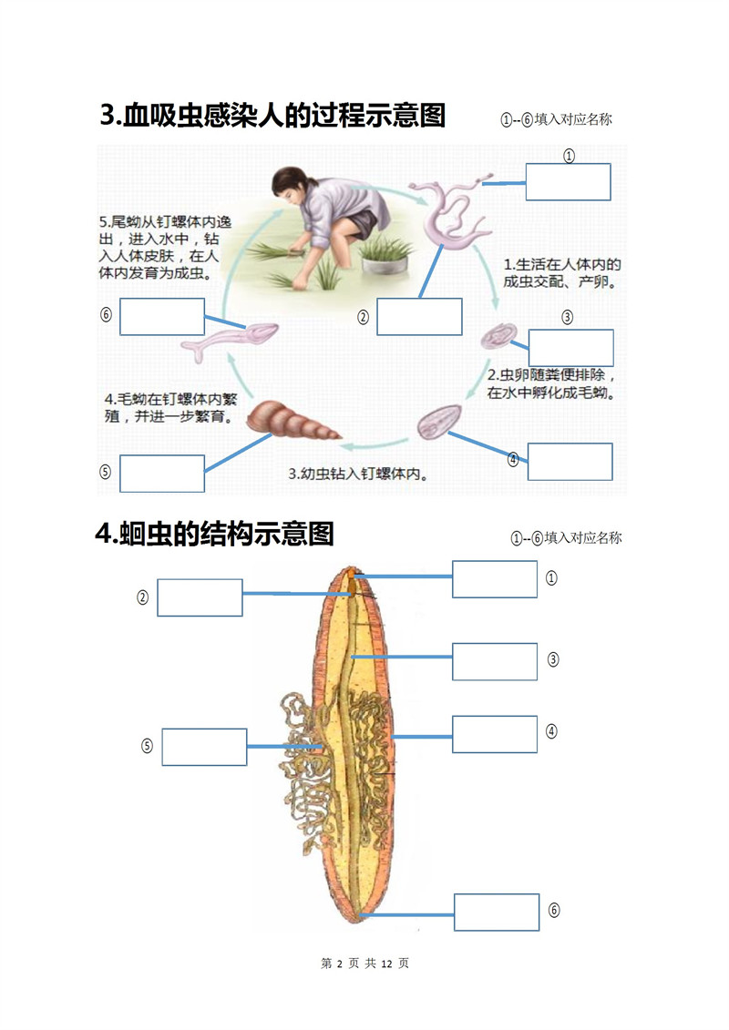 八上生物20个重点图