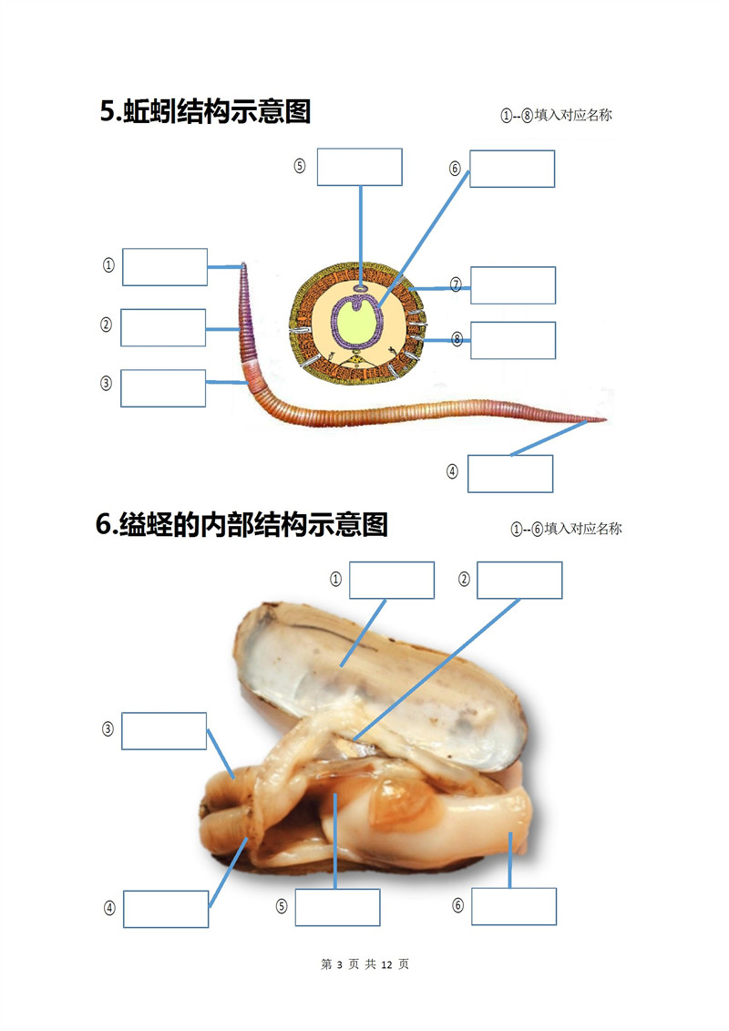 八上生物20个重点图