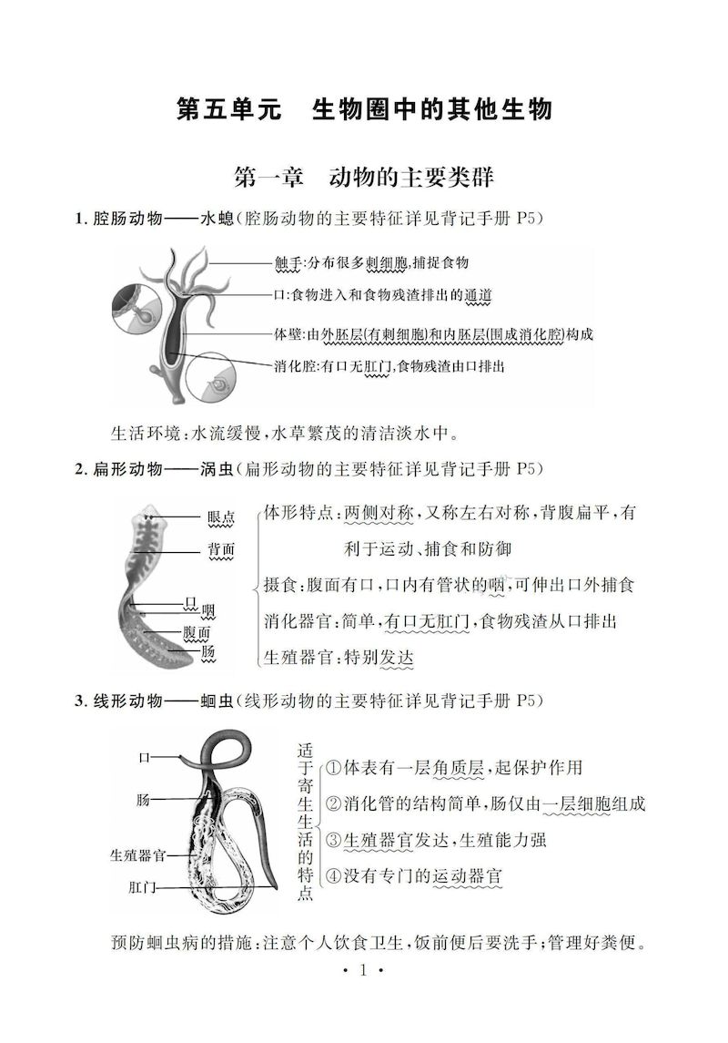 【八上生物】全册背记手册（人教版）